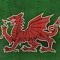 Welsh Dragon's Avatar