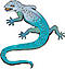 Gecko 1123