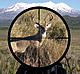 A group for hunting enthusiasts to gather and talk about all the :wub: they have shot.