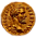Consilium de Civitate Service Medal (Bronze)